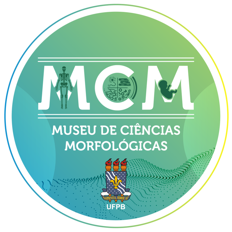 Logotipo MCM-01 (2).png