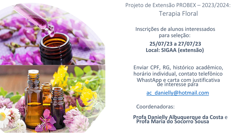 Projeto de Extensão - Terapia Floral - divulgação.png